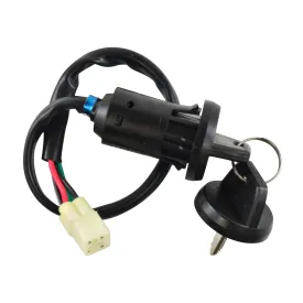 2-POS IGN KEY SWITCH ASSTD HON MODELS RFR FITMENTS (RM05013)