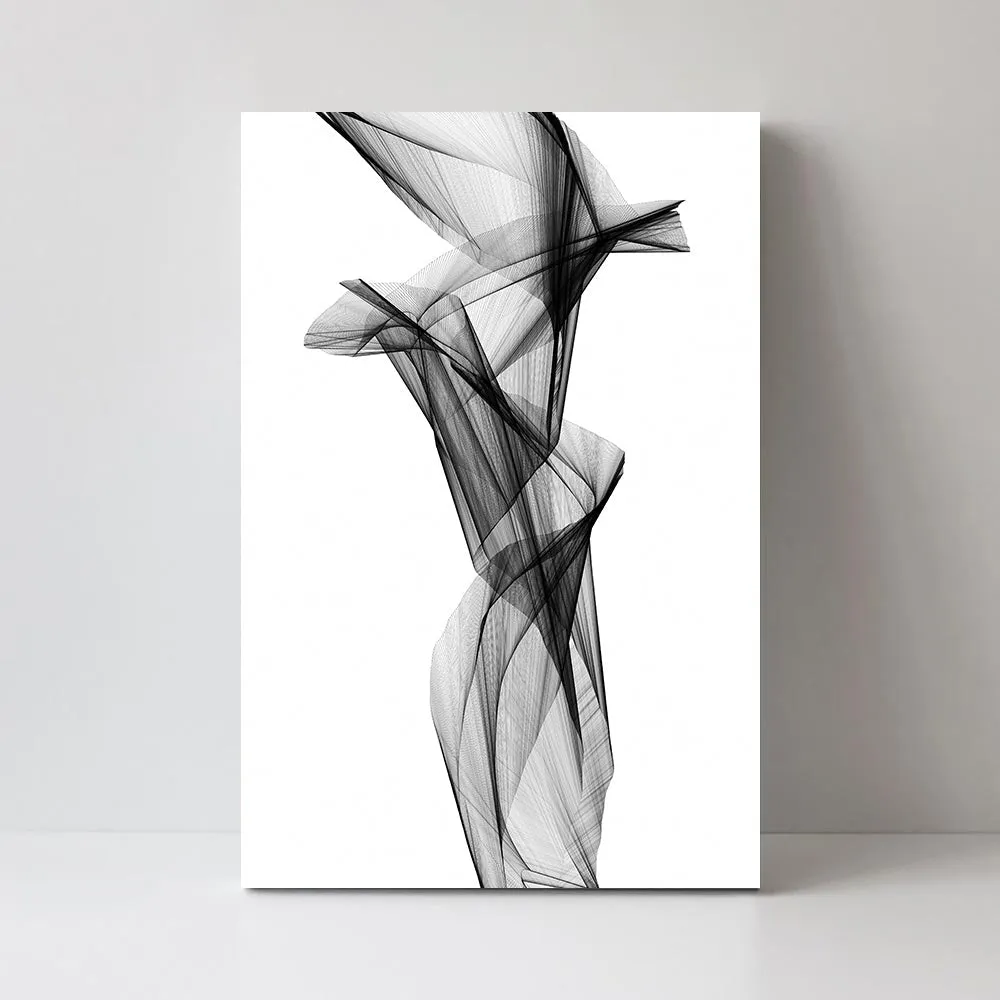 Aerial Silk, Black And White Art, Style C