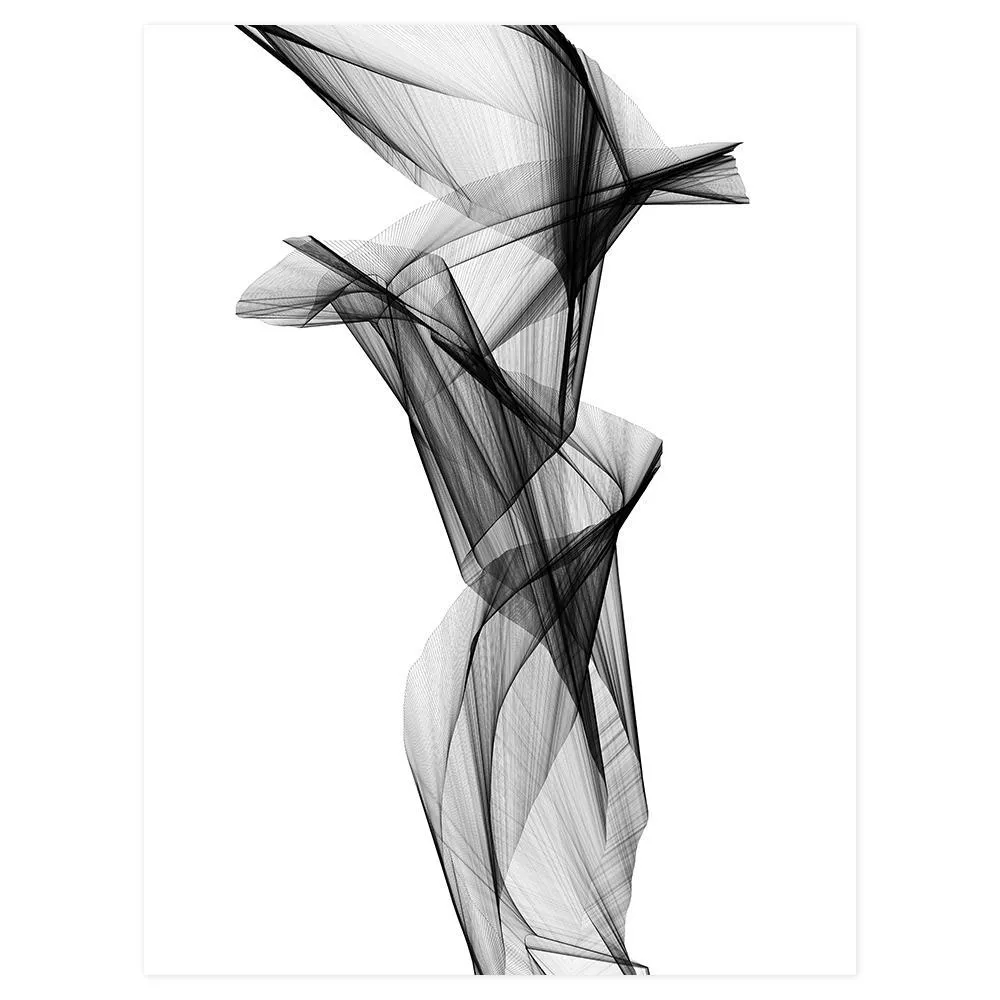 Aerial Silk, Black And White Art, Style C