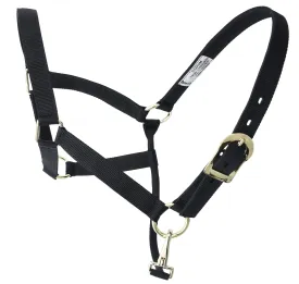 Amartigón Negro / Black Halter