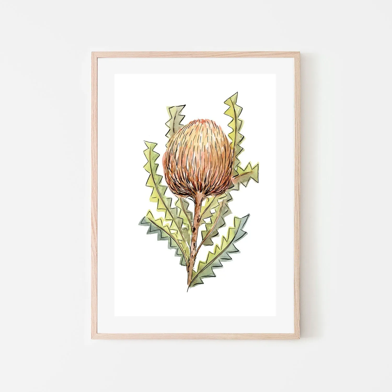 Banksia Serrata , By Jessie Mitchelson