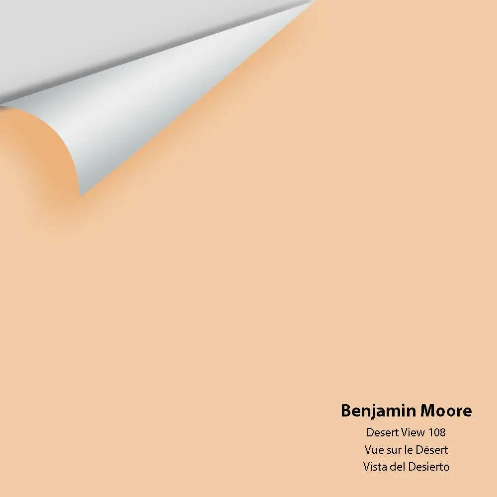 Benjamin Moore - Desert View 108 Colour Sample