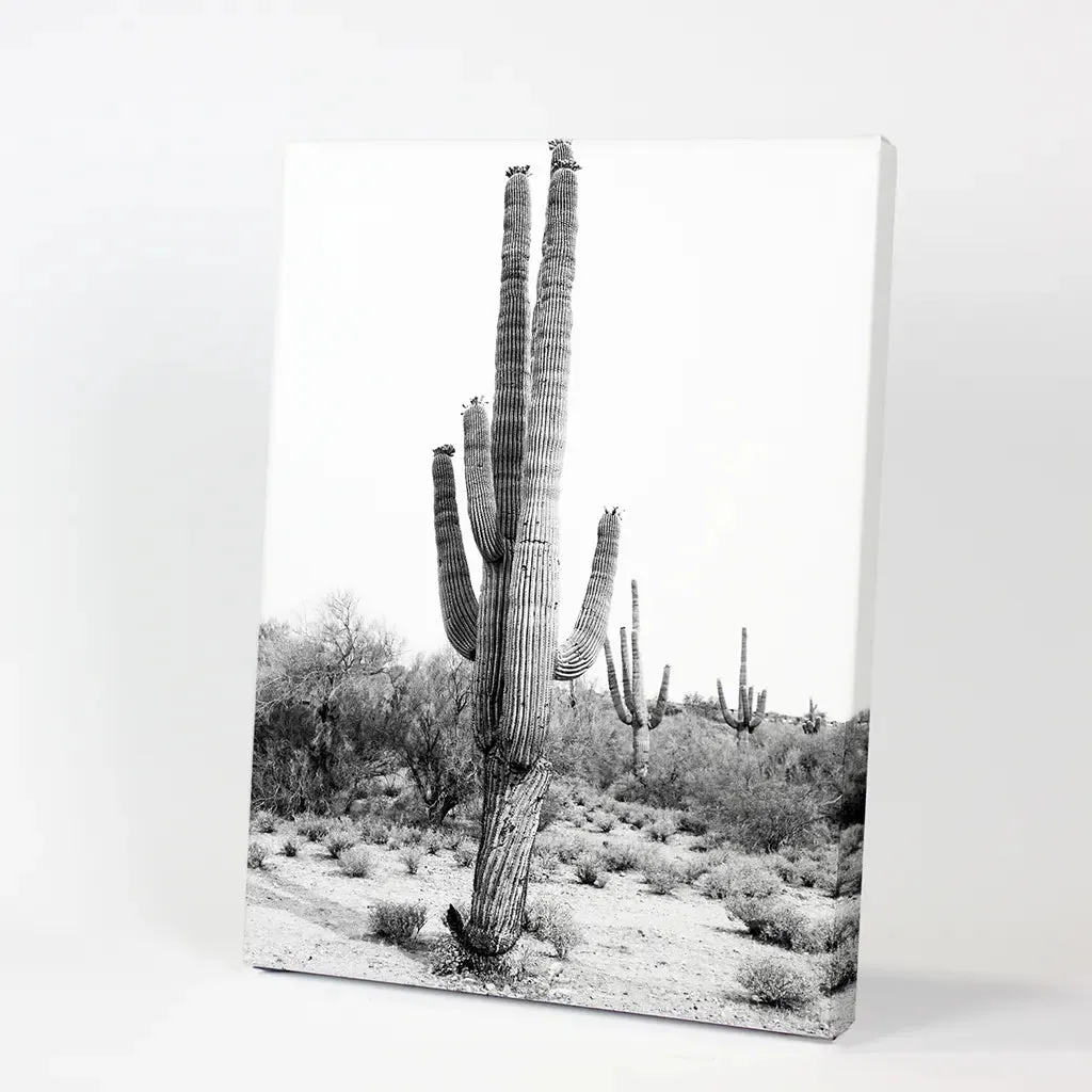 Black White Saguaro Cactus Poster. Arizona Desert Nature