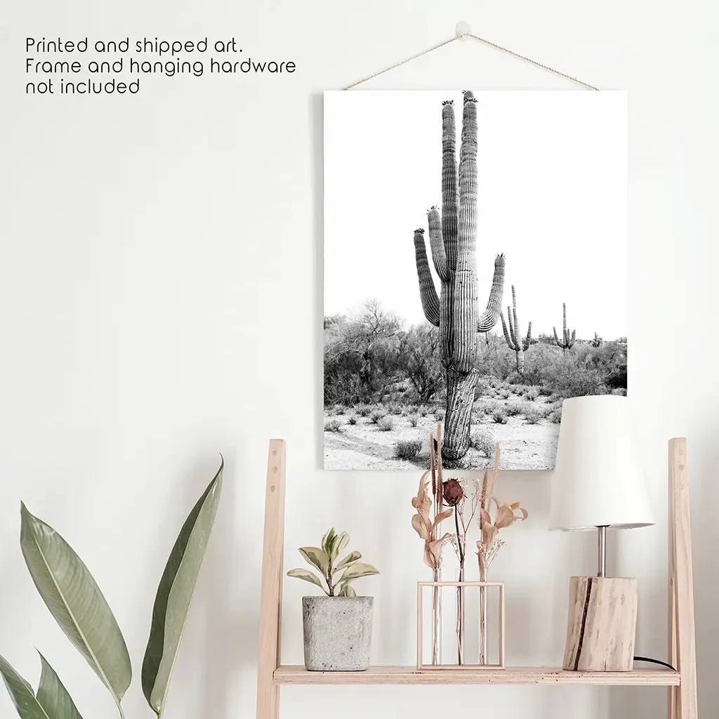 Black White Saguaro Cactus Poster. Arizona Desert Nature