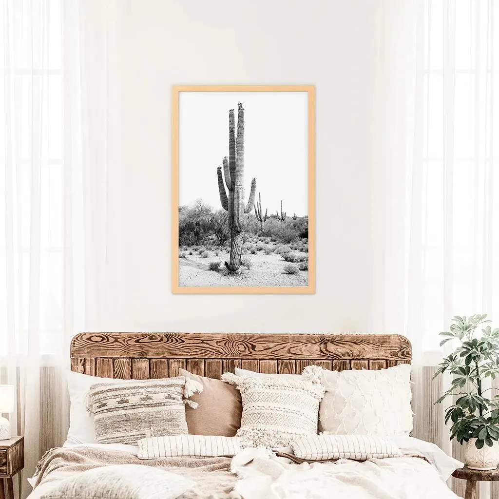 Black White Saguaro Cactus Poster. Arizona Desert Nature