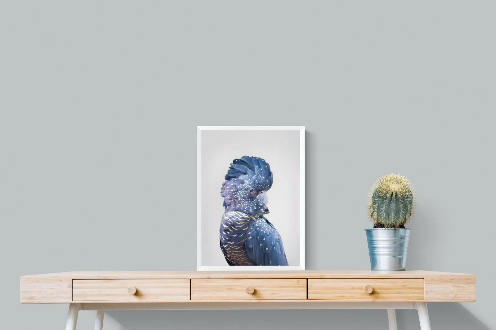 Blue Cockatoo