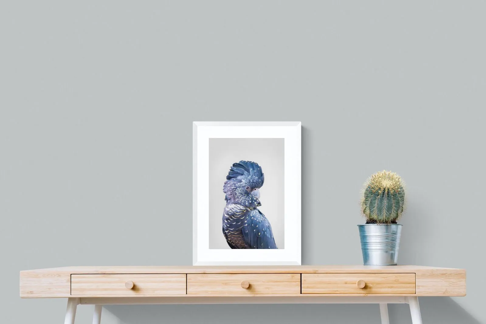 Blue Cockatoo