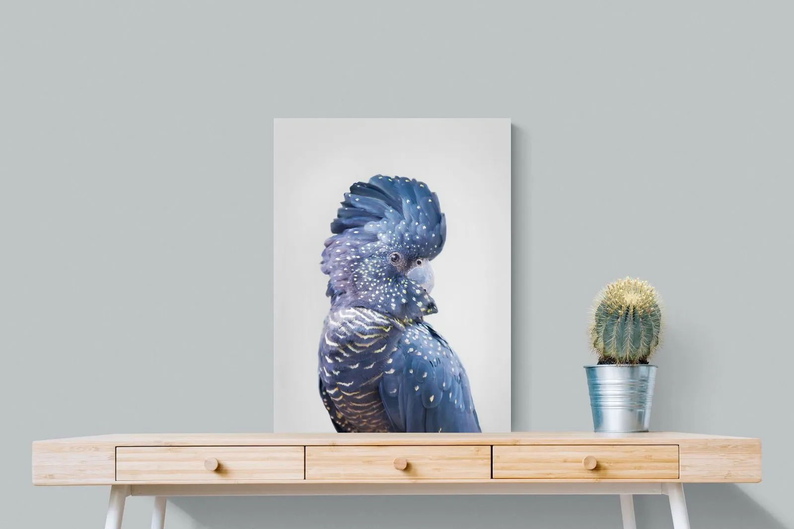 Blue Cockatoo