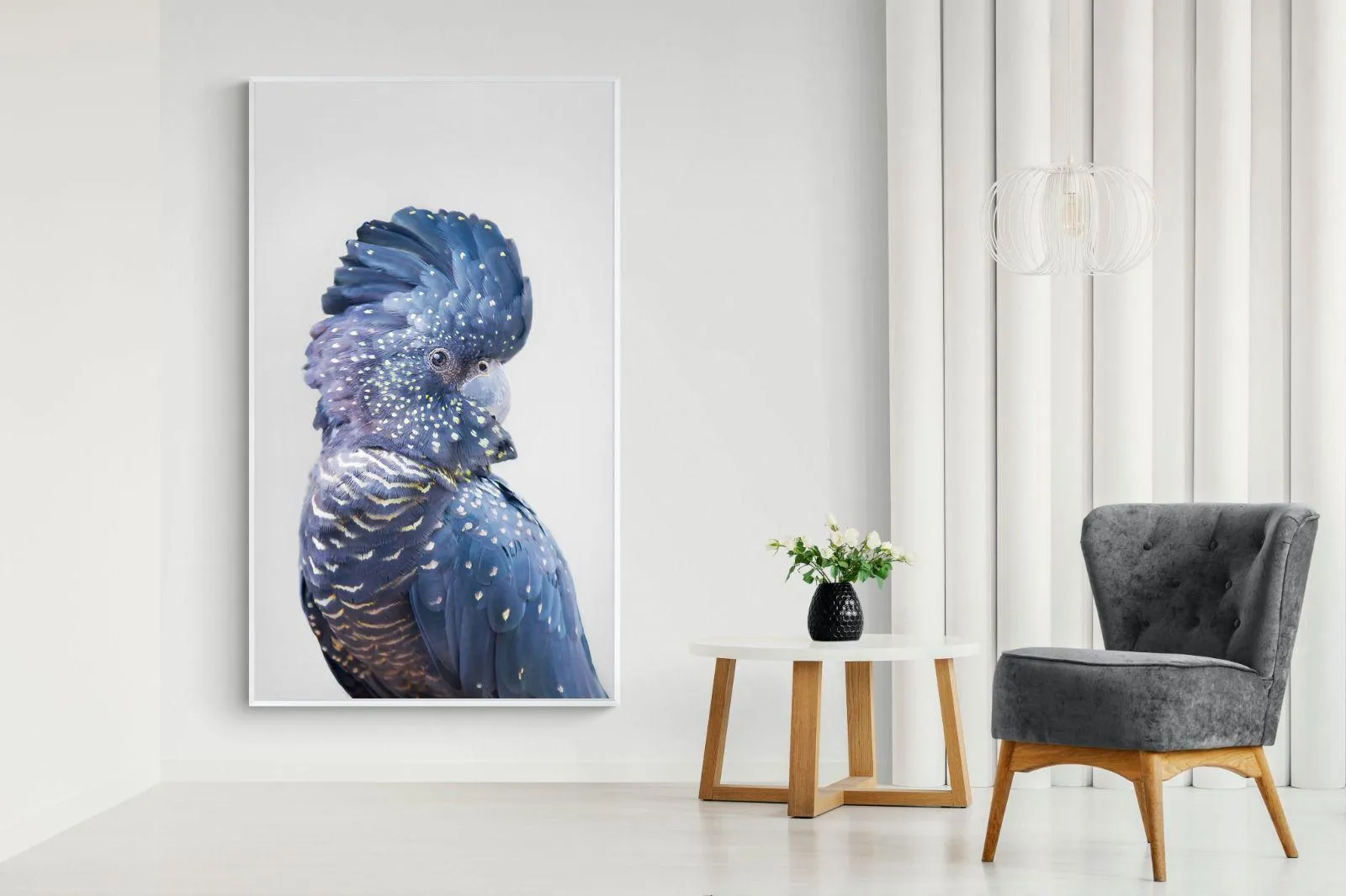 Blue Cockatoo