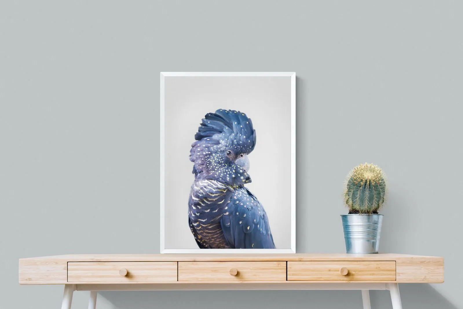 Blue Cockatoo