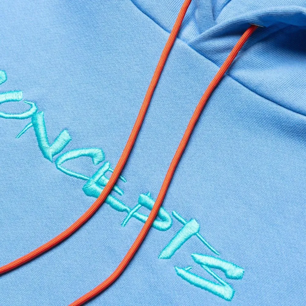 Brushed Logo Hoodie (Nile)