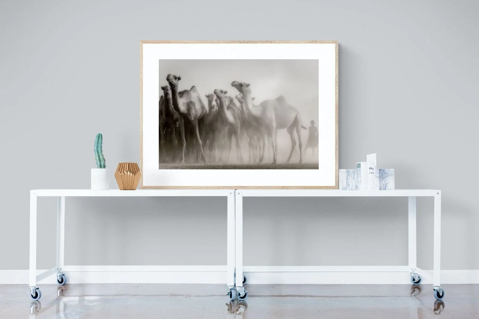 Camels in the Dust