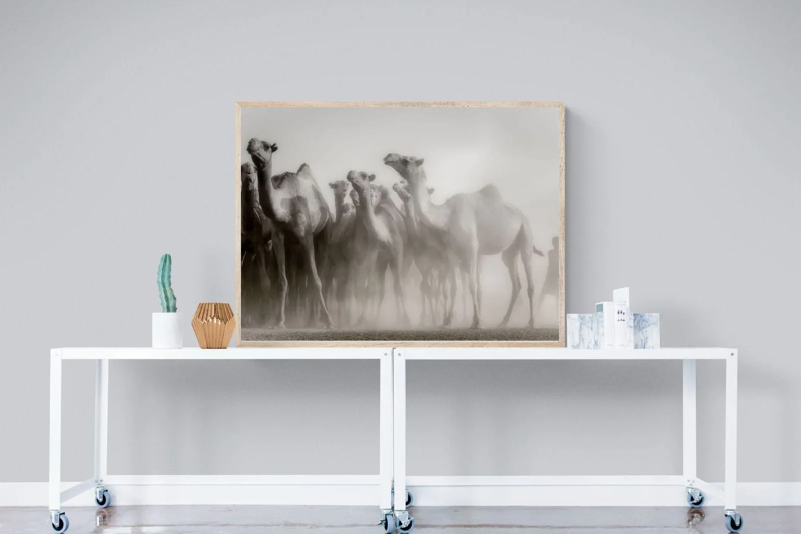 Camels in the Dust