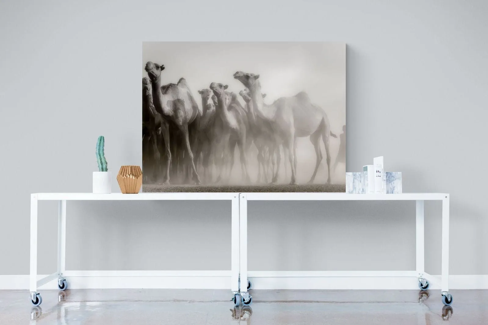 Camels in the Dust