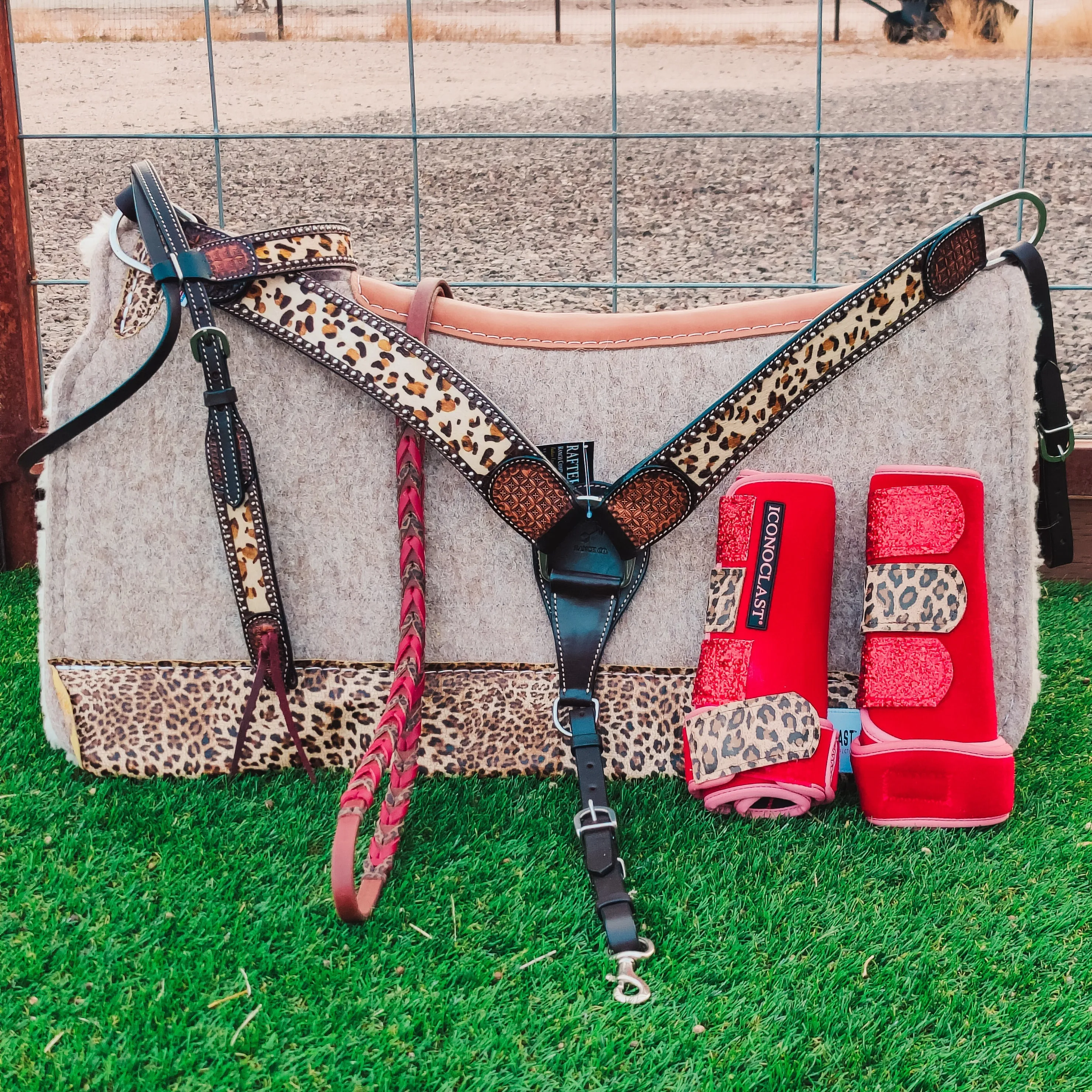 Cheetah Tack Set