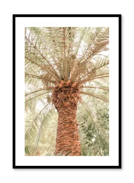 Desert Palm, Poster