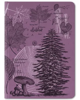 Forest at Dusk Hardcover Notebook