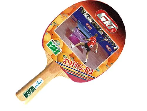 GKI Kung Fu Table Tennis Racquet