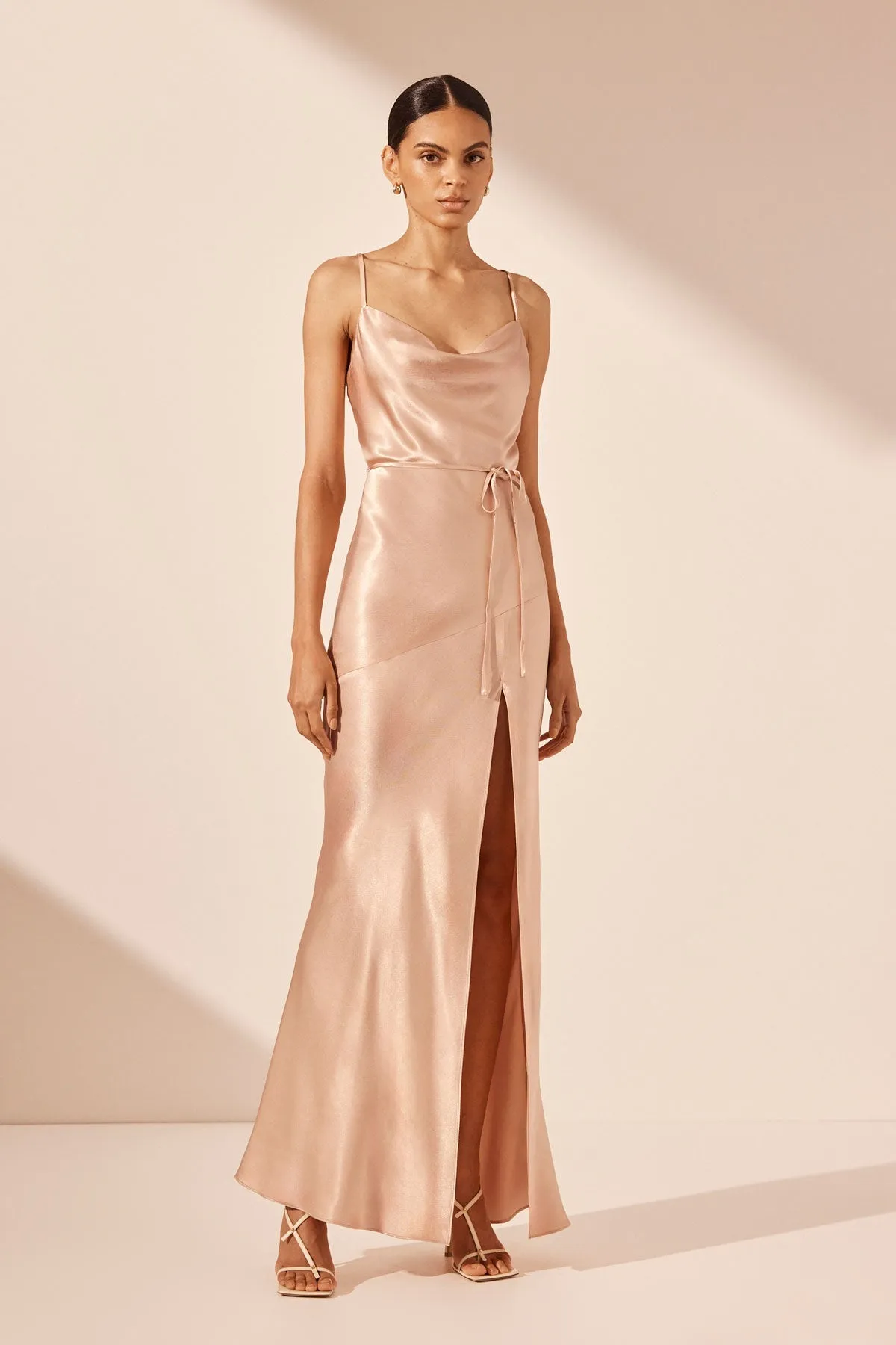 LA LUNE BIAS COWL MAXI DRESS - DESERT ROSE