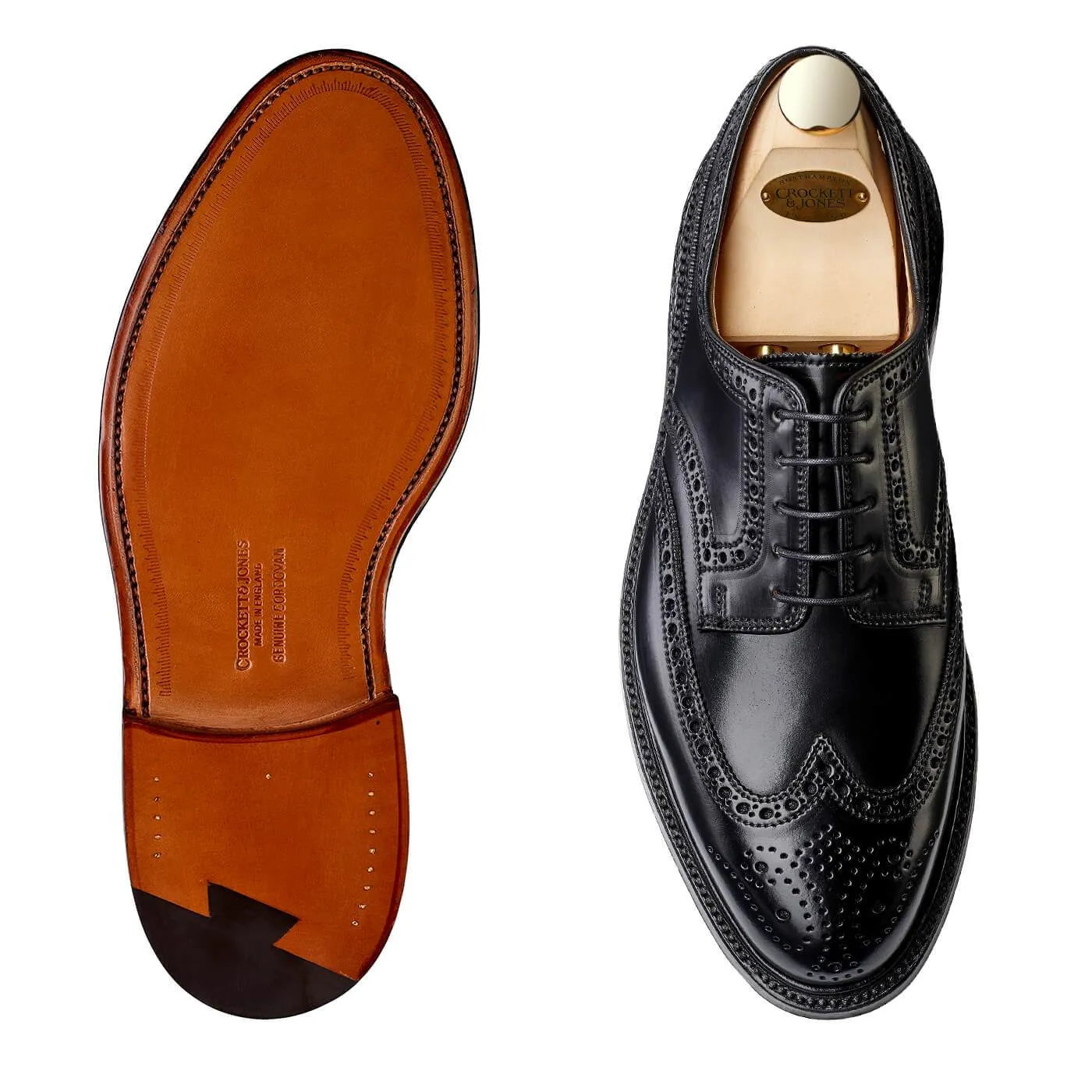 Black Cordovan Pembroke Leather Shoes