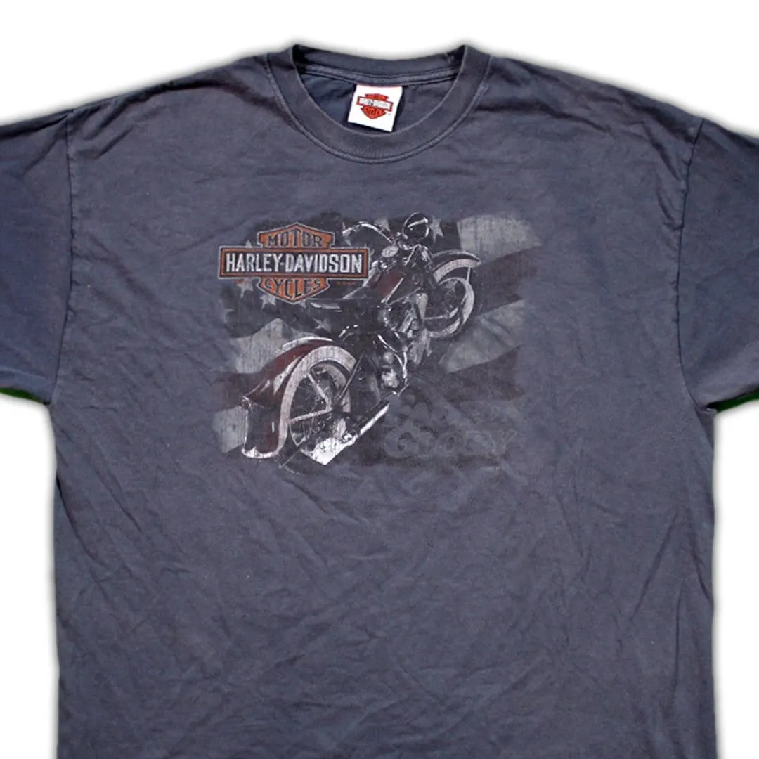 Vintage '07 Blue Harley Davidson Smokey Mountain Tee